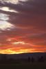 Blue Mountain Sunrise