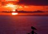 Depoe Bay  Sunset