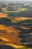 The Palouse