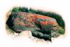 Orange Lichens